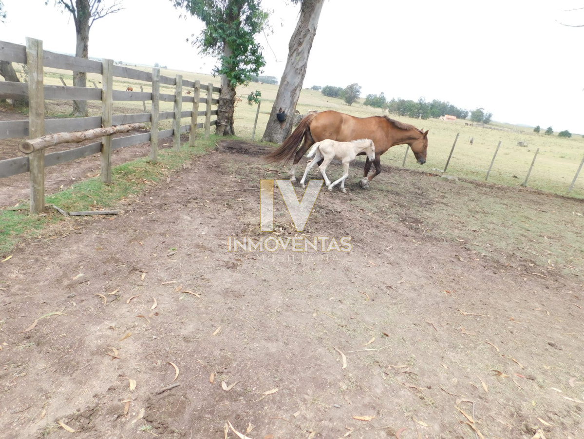 Chacra ID.1323 - Campo- Chacra en VENTA- entrada de pueblo garzon-35 hectareas