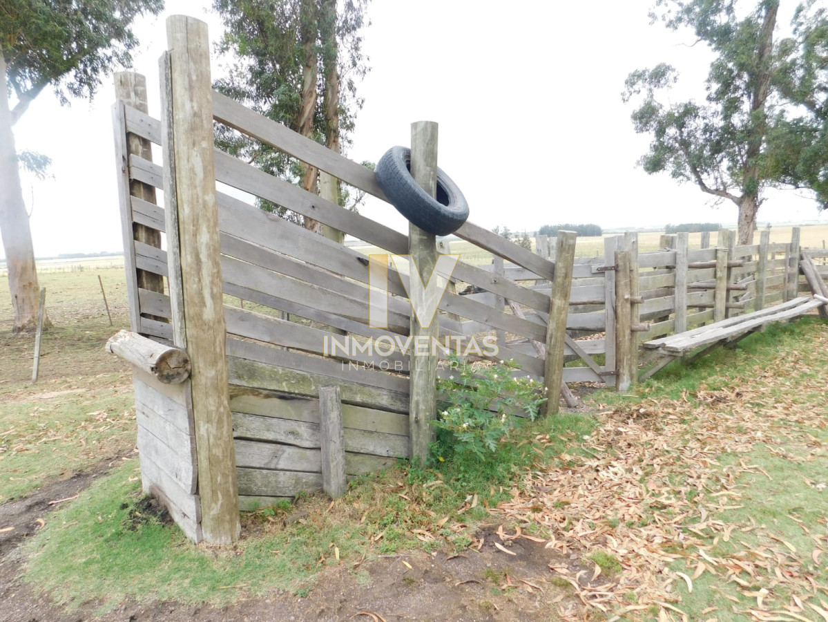 Chacra ID.1323 - Campo- Chacra en VENTA- entrada de pueblo garzon-35 hectareas