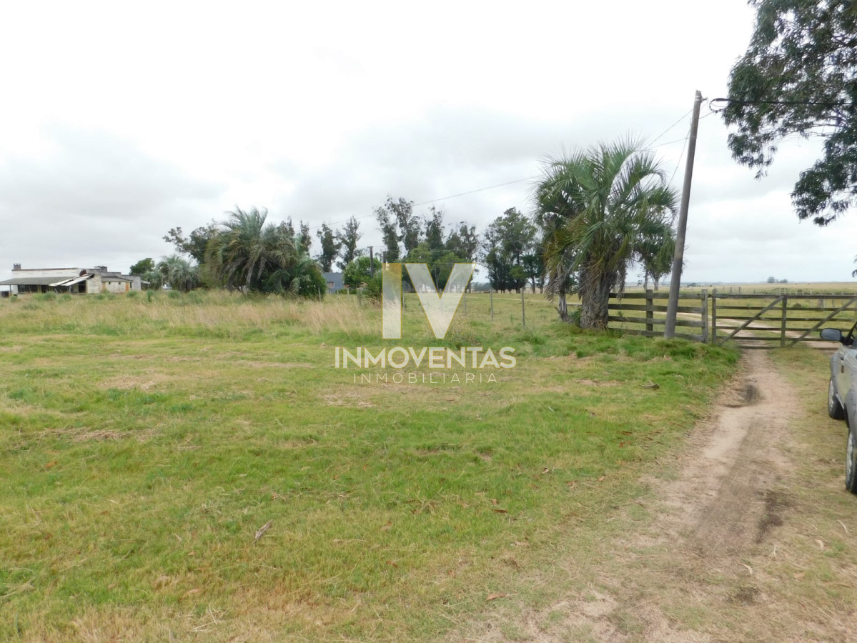 Chacra ID.1323 - Campo- Chacra en VENTA- entrada de pueblo garzon-35 hectareas