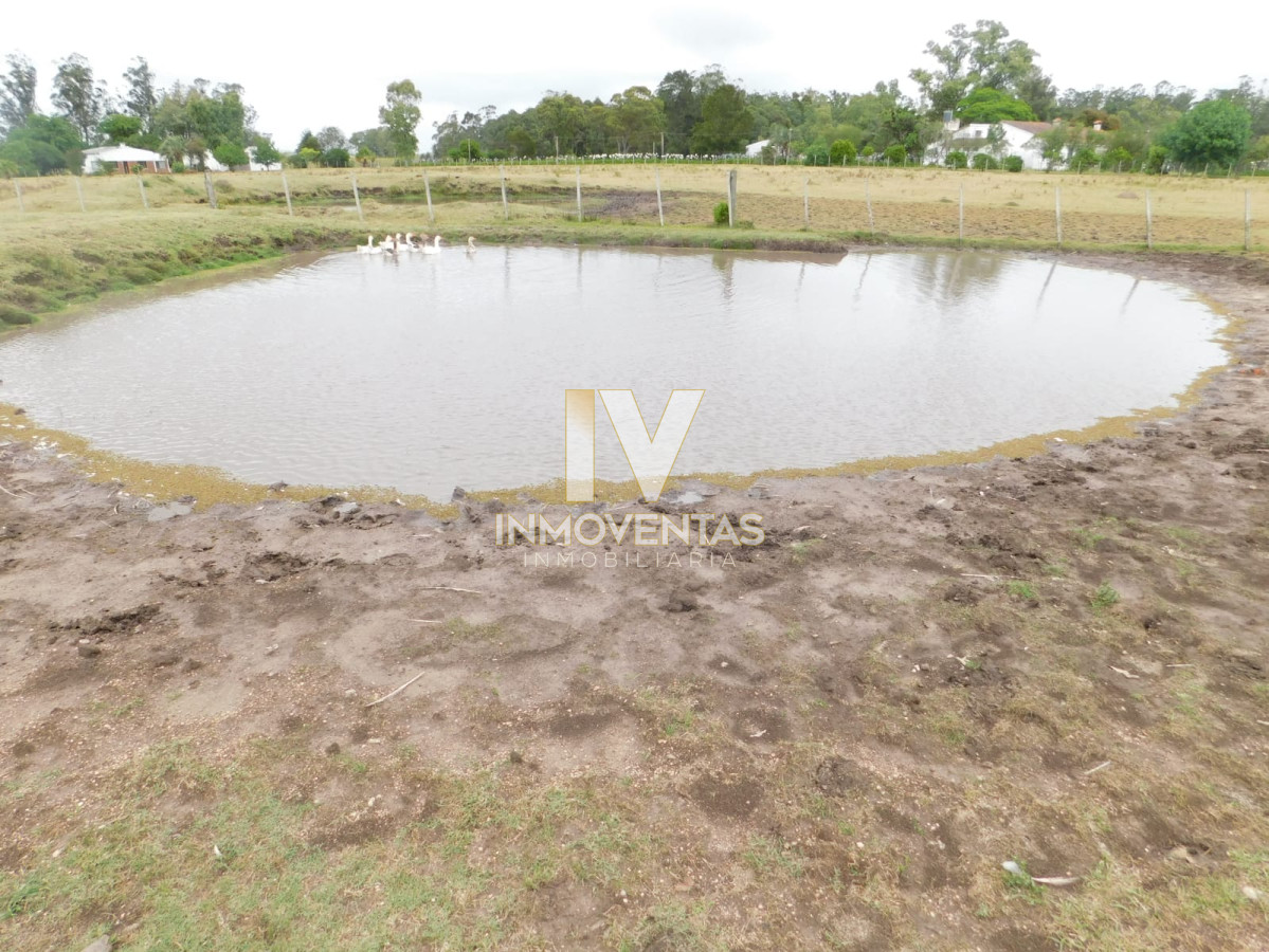 Chacra ID.1323 - Campo- Chacra en VENTA- entrada de pueblo garzon-35 hectareas