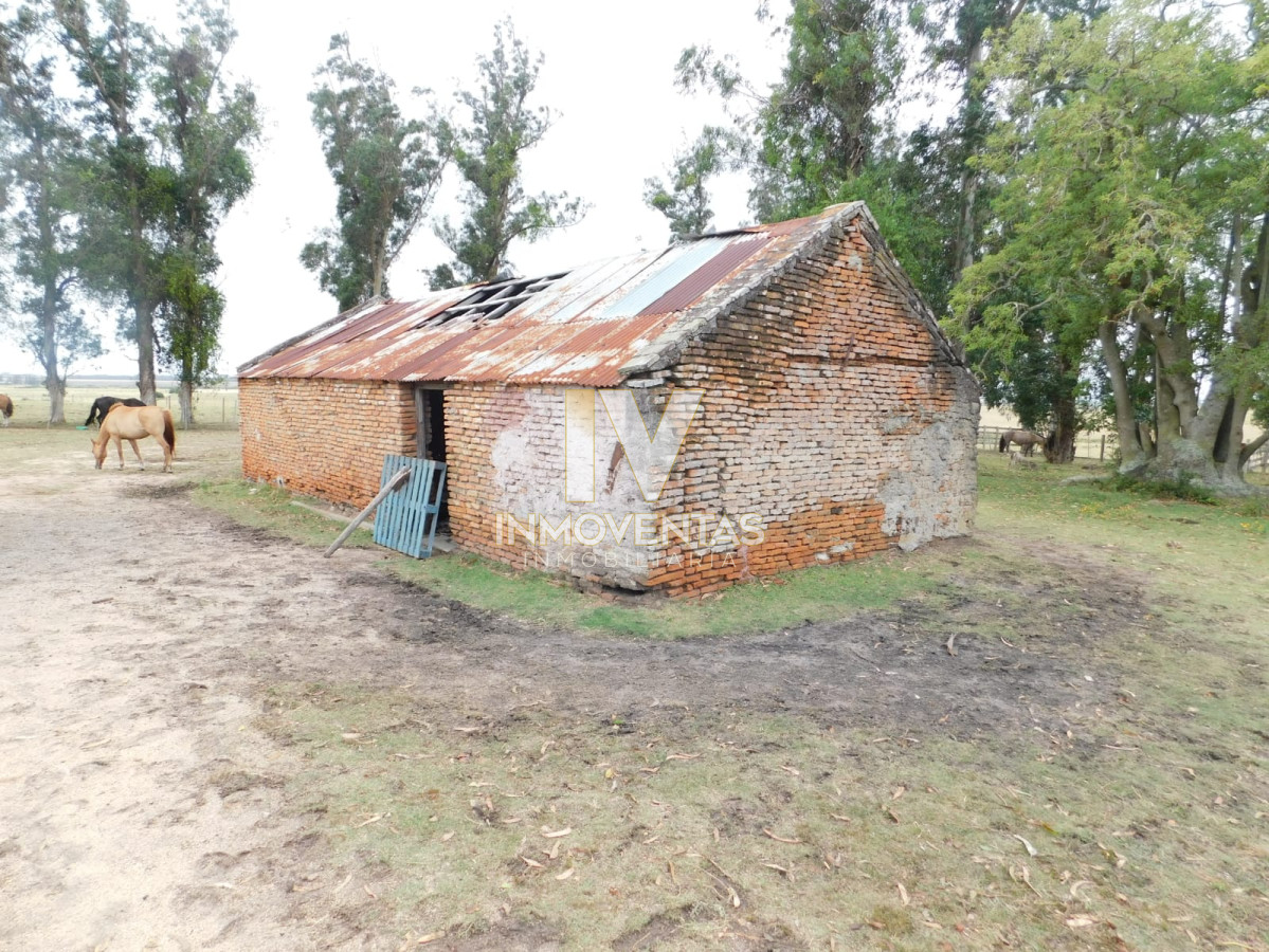 Chacra ID.1323 - Campo- Chacra en VENTA- entrada de pueblo garzon-35 hectareas