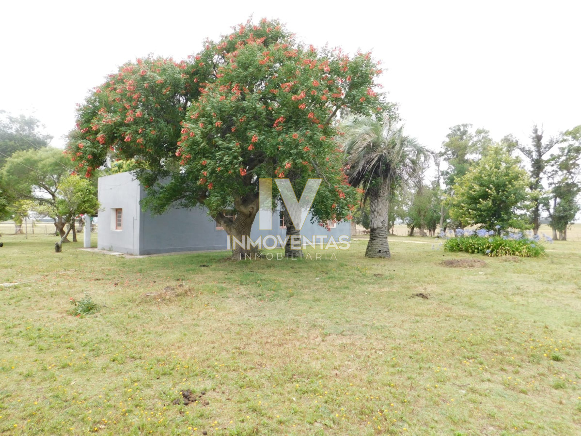 Chacra ID.1323 - Campo- Chacra en VENTA- entrada de pueblo garzon-35 hectareas
