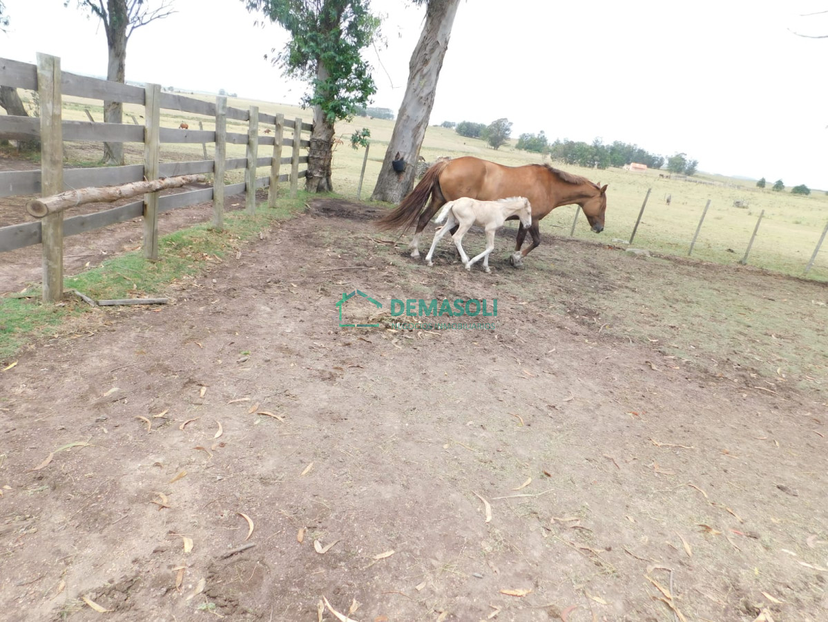 Chacra ID.300 - Campo- Chacra en VENTA- entrada de pueblo garzon-35 hectareas