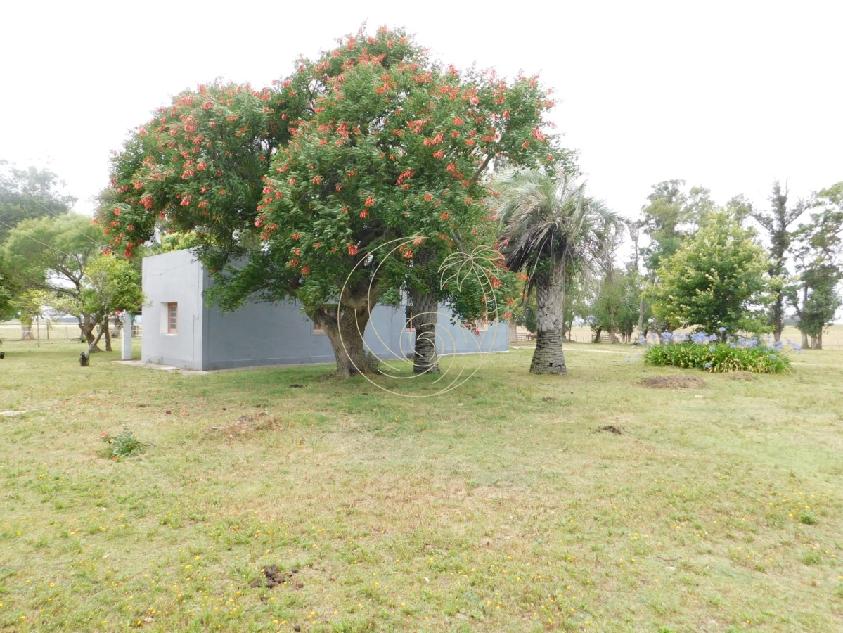 Chacra ID.21092879 - Campo- Chacra en VENTA- entrada de pueblo garzon-35 hectareas
