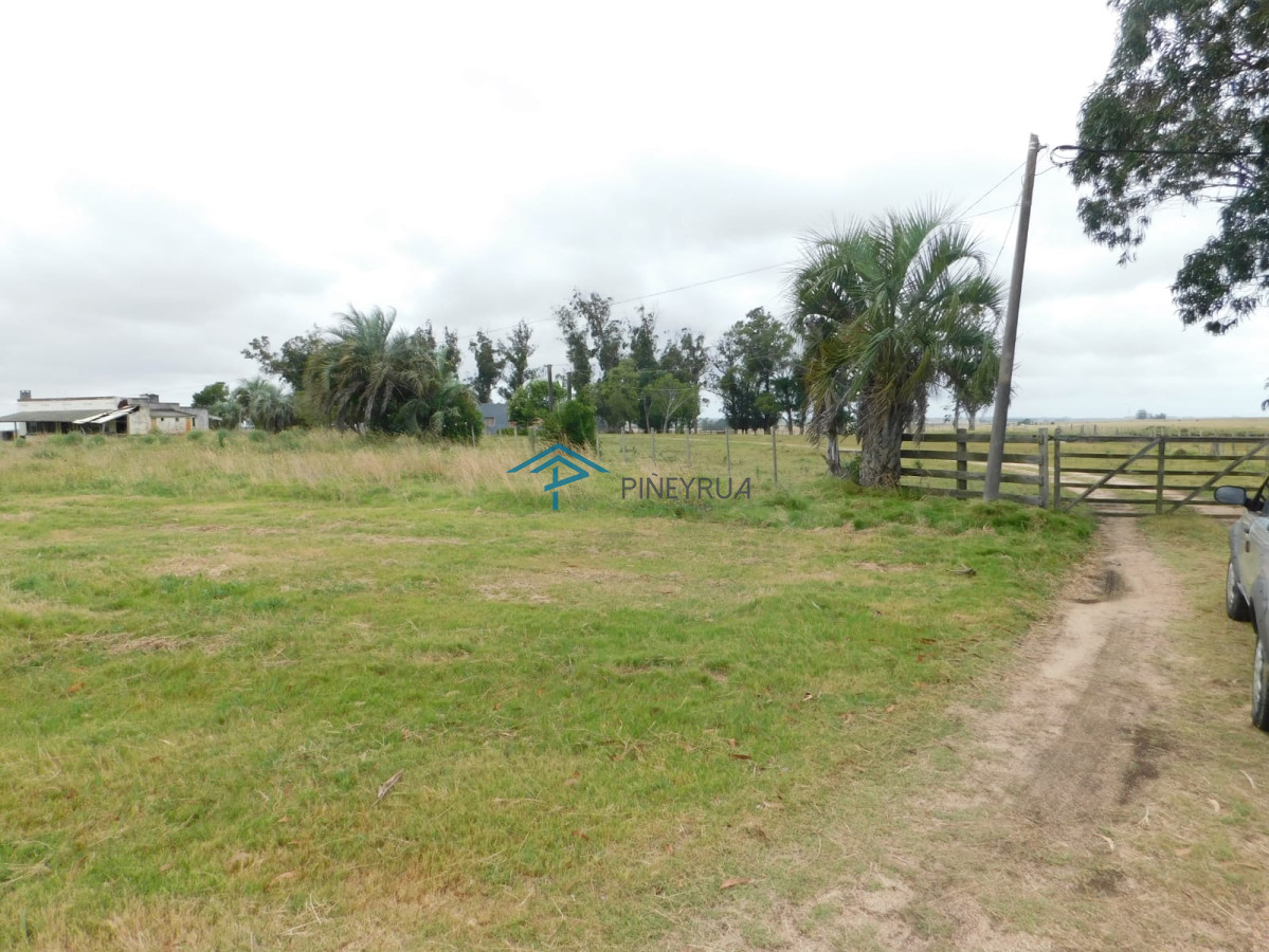 Chacra ID.203 - Campo- Chacra en VENTA- entrada de pueblo garzon-35 hectareas