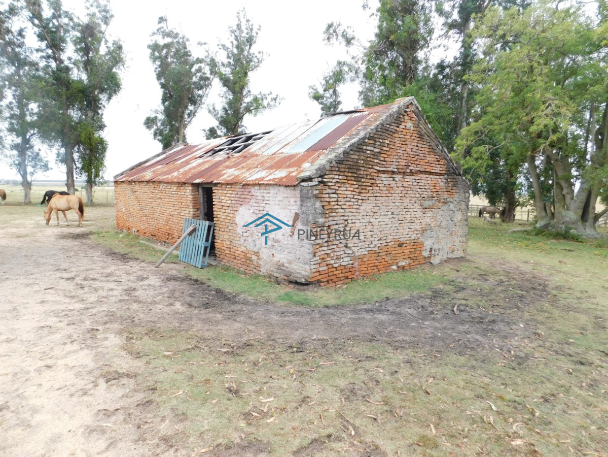 Chacra ID.203 - Campo- Chacra en VENTA- entrada de pueblo garzon-35 hectareas