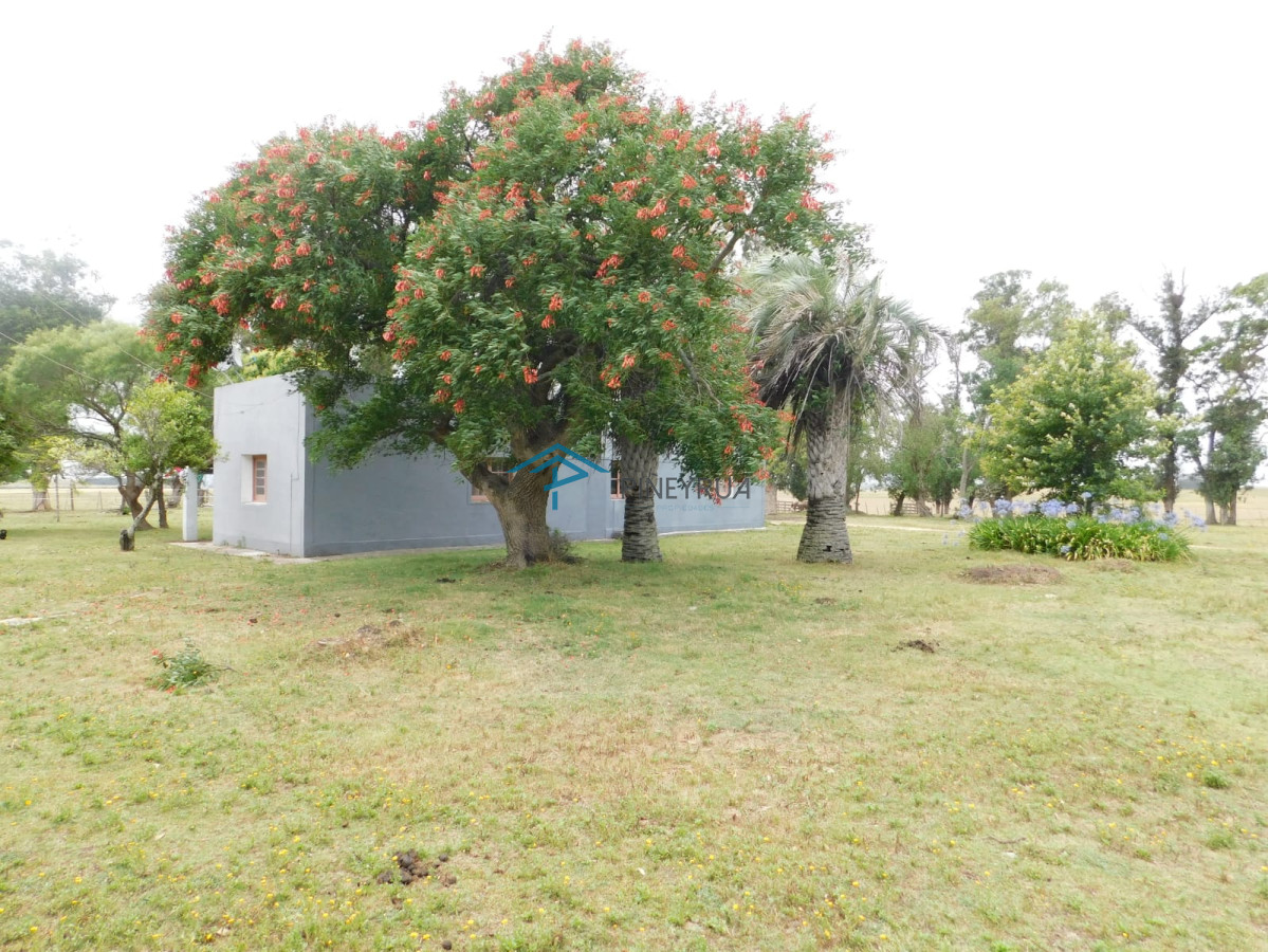 Chacra ID.203 - Campo- Chacra en VENTA- entrada de pueblo garzon-35 hectareas