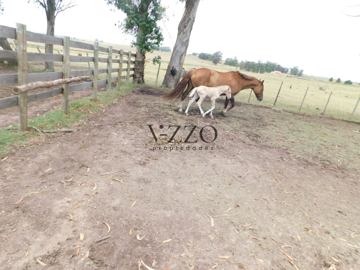 Chacra ID.433 - Campo- Chacra en VENTA- entrada de pueblo garzon-35 hectareas
