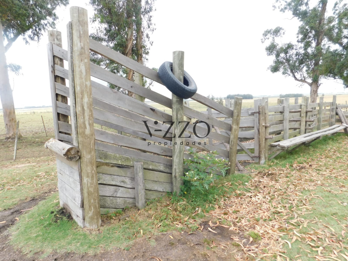 Chacra ID.433 - Campo- Chacra en VENTA- entrada de pueblo garzon-35 hectareas