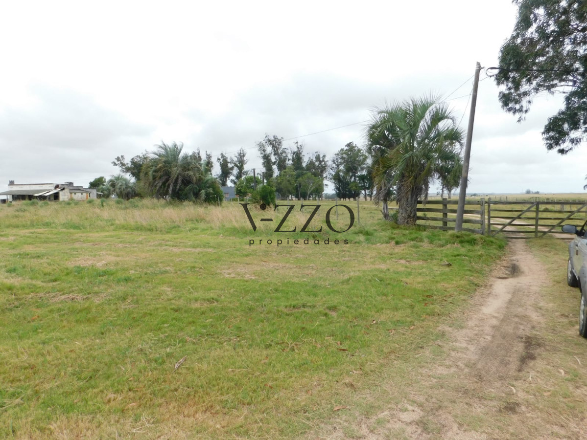 Chacra ID.433 - Campo- Chacra en VENTA- entrada de pueblo garzon-35 hectareas