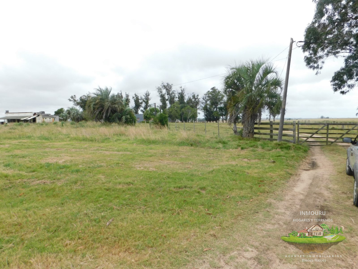 Chacra ID.805 - Campo- Chacra en VENTA- entrada de pueblo garzon-35 hectareas