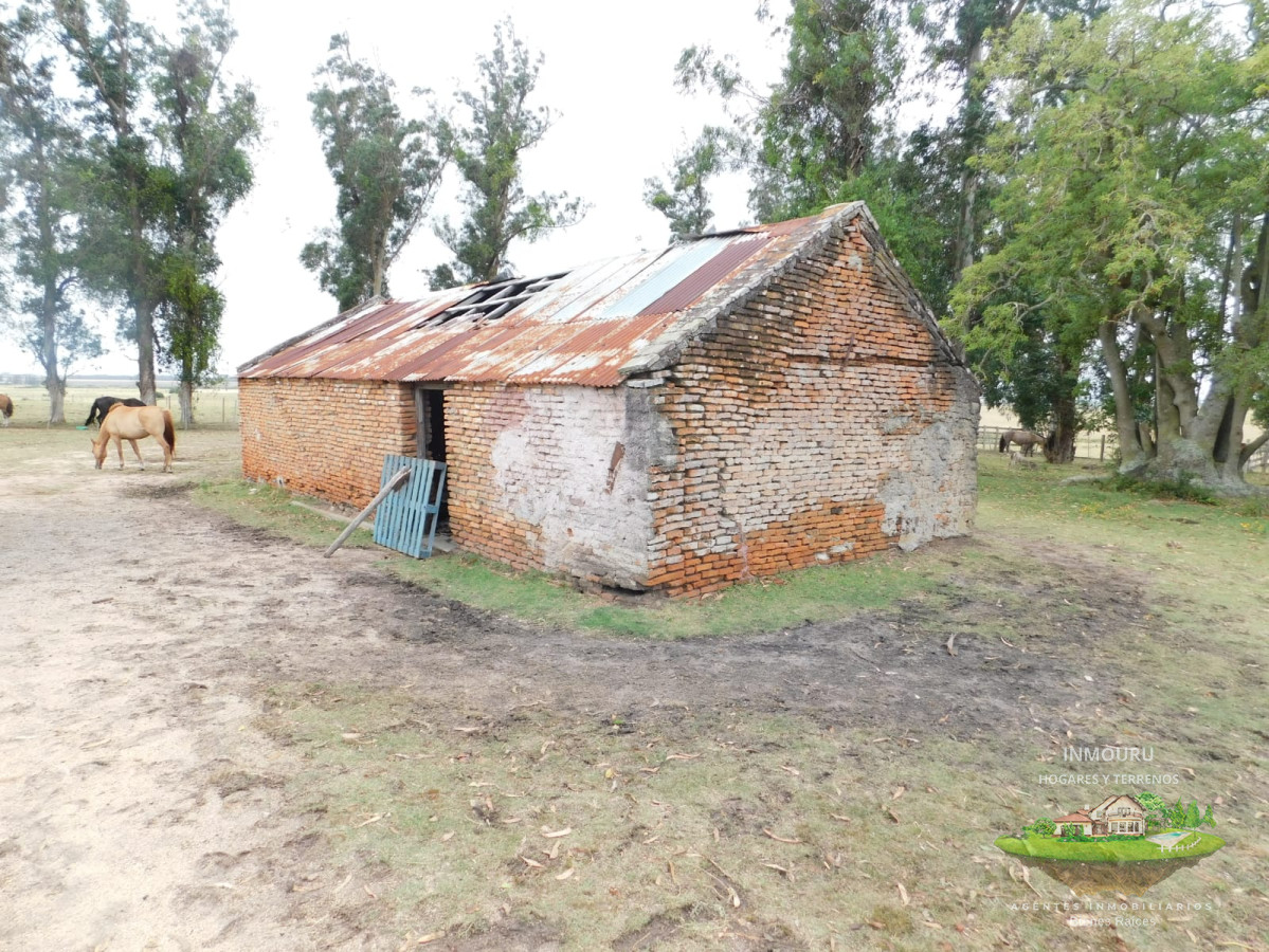 Chacra ID.805 - Campo- Chacra en VENTA- entrada de pueblo garzon-35 hectareas