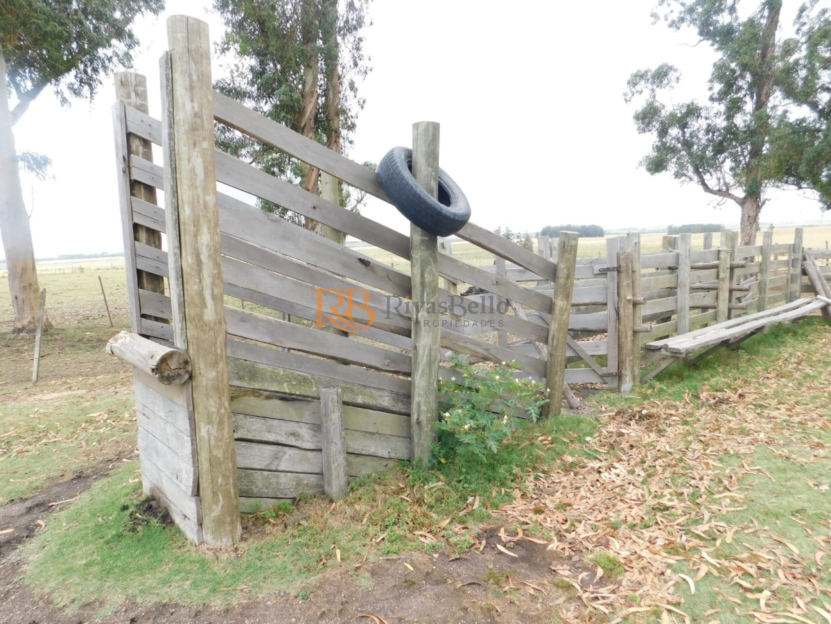 Chacra ID.98 - Campo- Chacra en VENTA- entrada de pueblo garzon-35 hectareas
