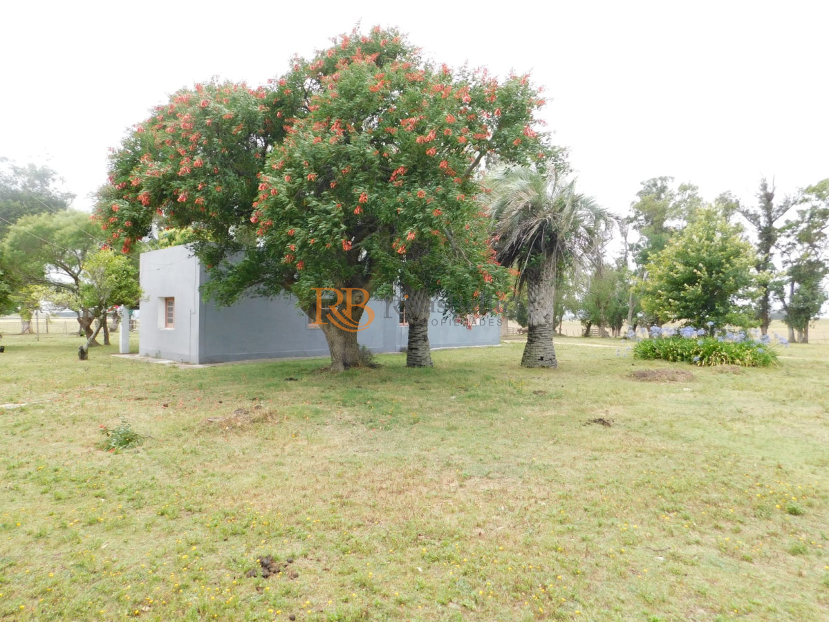 Chacra ID.98 - Campo- Chacra en VENTA- entrada de pueblo garzon-35 hectareas