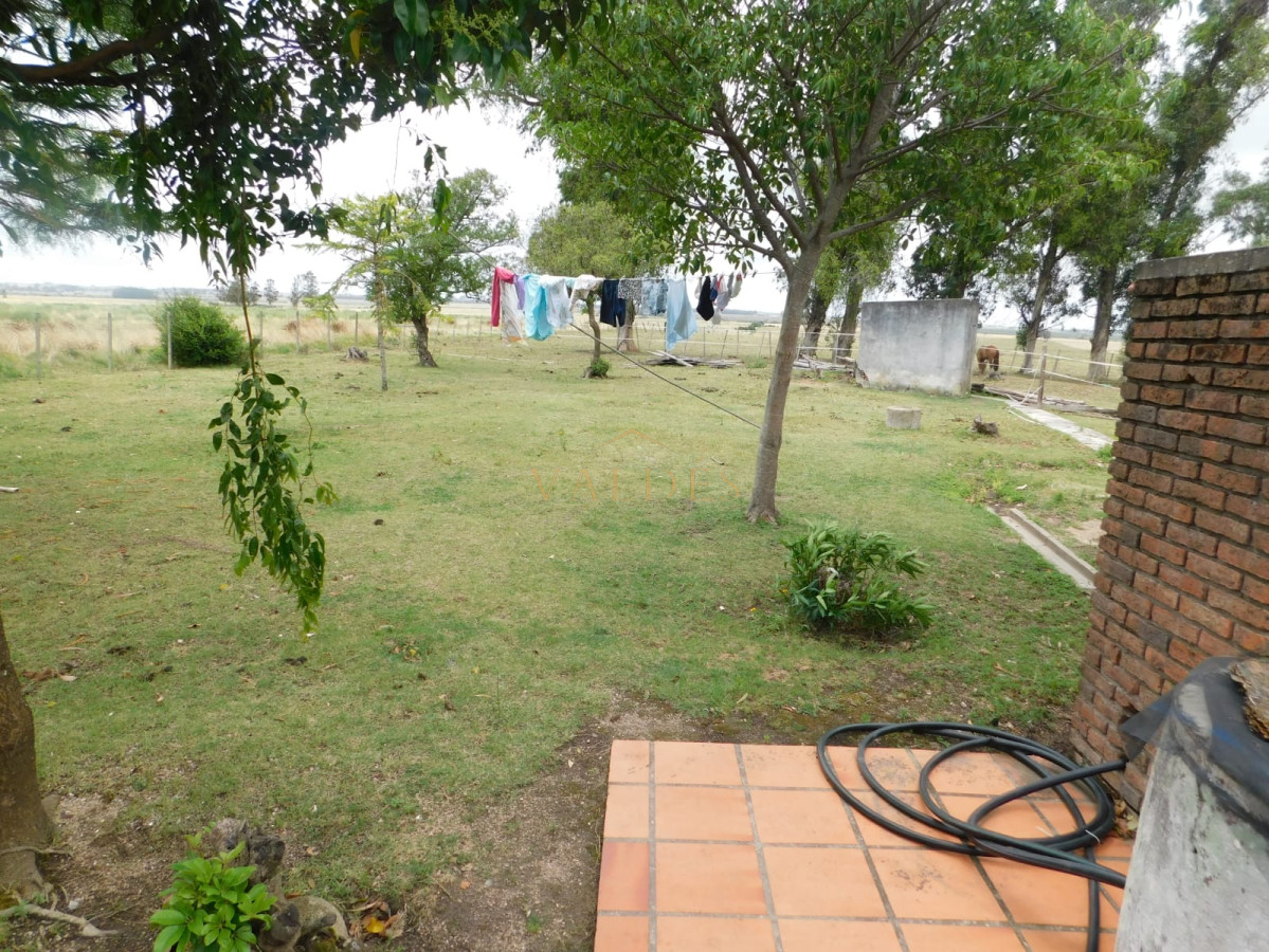 Chacra ID.579 - Campo- Chacra en VENTA- entrada de pueblo garzon-35 hectareas
