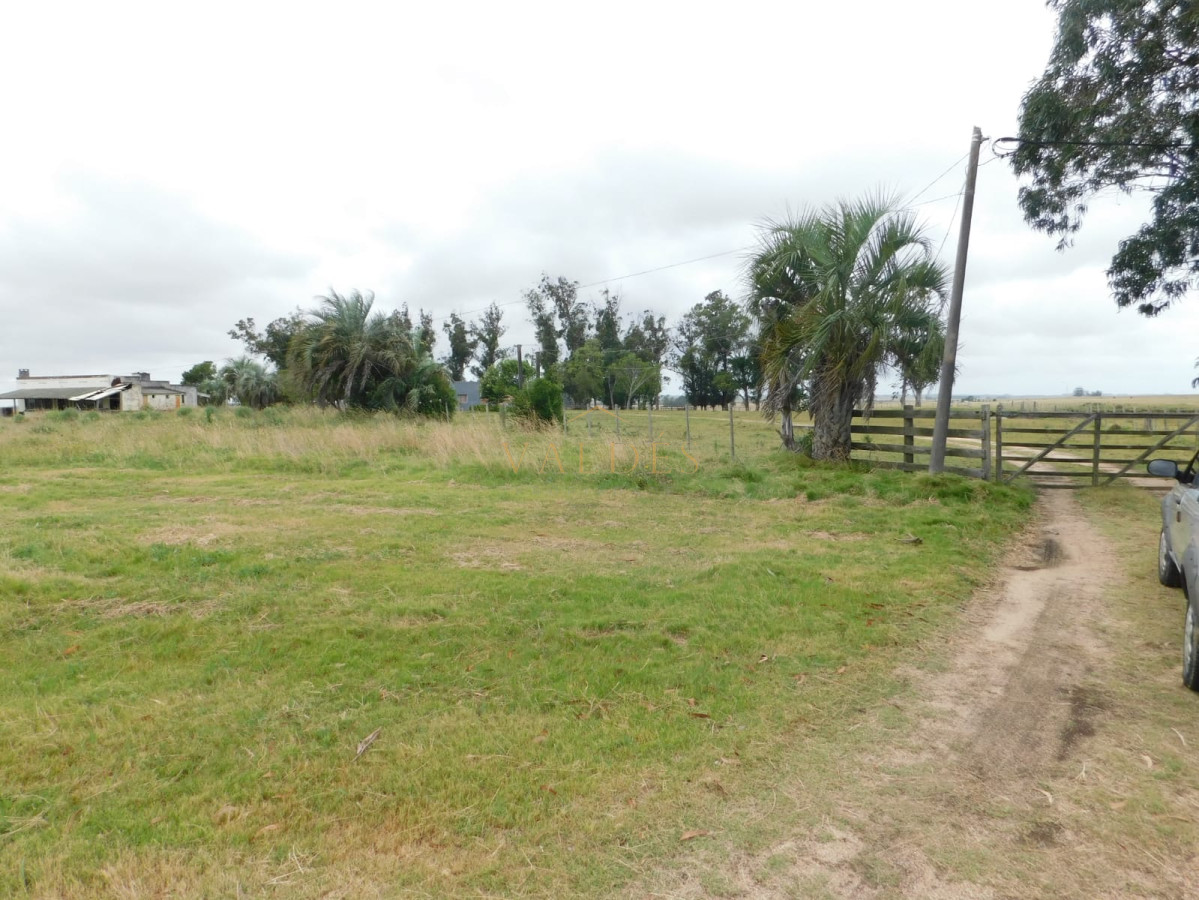 Chacra ID.579 - Campo- Chacra en VENTA- entrada de pueblo garzon-35 hectareas