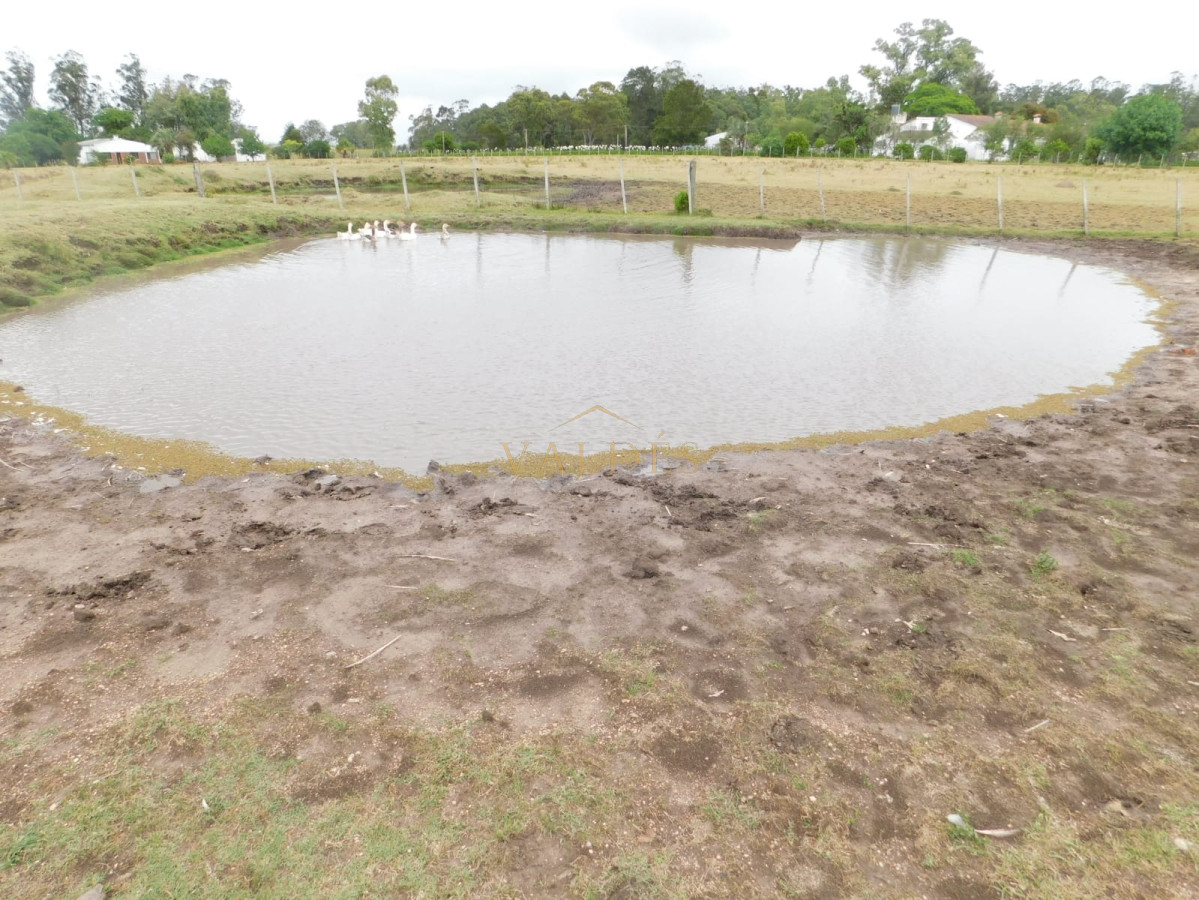 Chacra ID.579 - Campo- Chacra en VENTA- entrada de pueblo garzon-35 hectareas