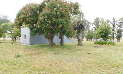 Campo- Chacra en VENTA- entrada de pueblo garzon-35 hectareas