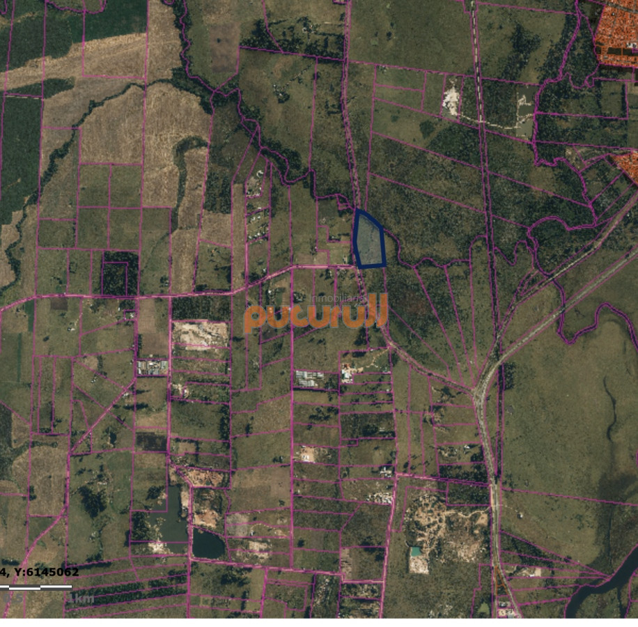 Camino de los Ceibos - GoPunta - Portal Inmobiliario de Punta del Este - Maldonado