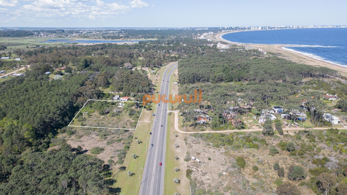 Terreno ID.3109 - Lote en venta para desarollo Punta Ballena para proyecto