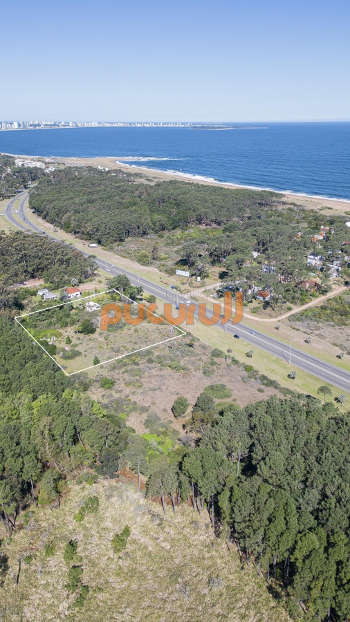 Terreno ID.3109 - Lote en venta para desarollo Punta Ballena para proyecto