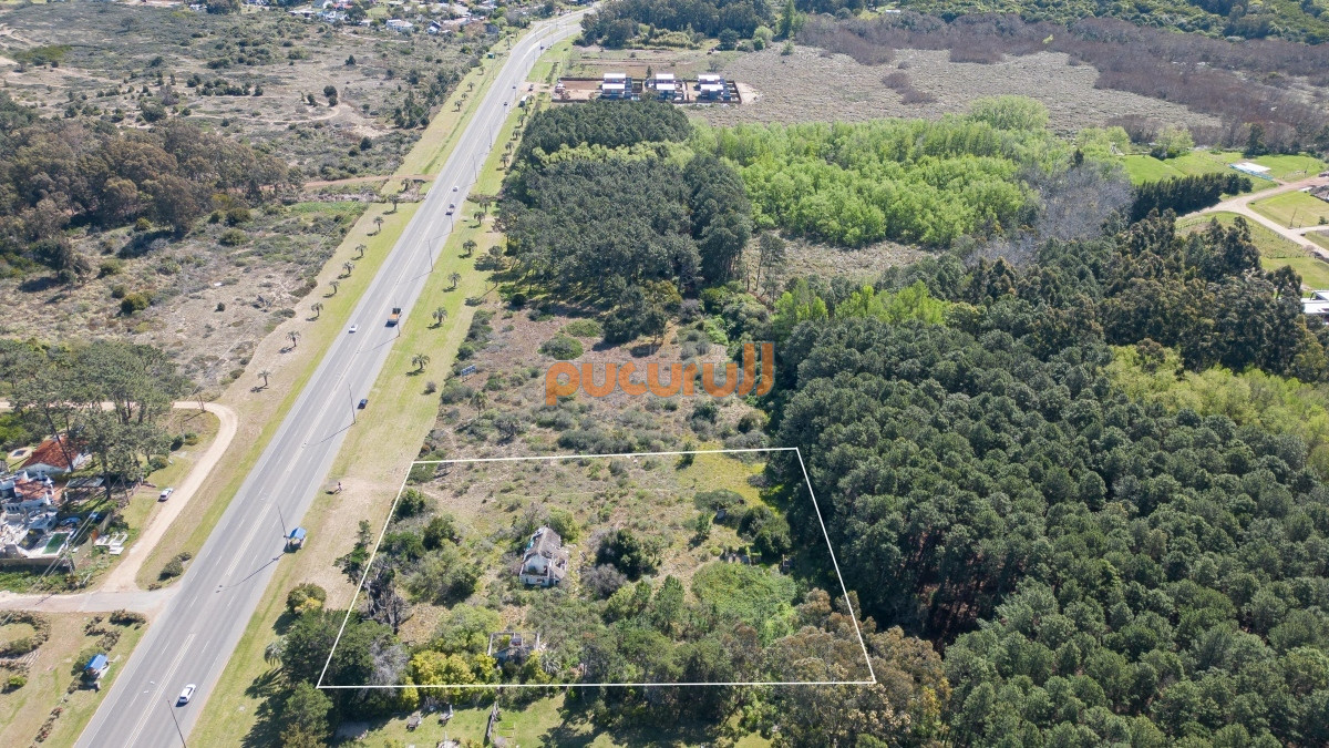 Terreno ID.3109 - Lote en venta para desarollo Punta Ballena para proyecto