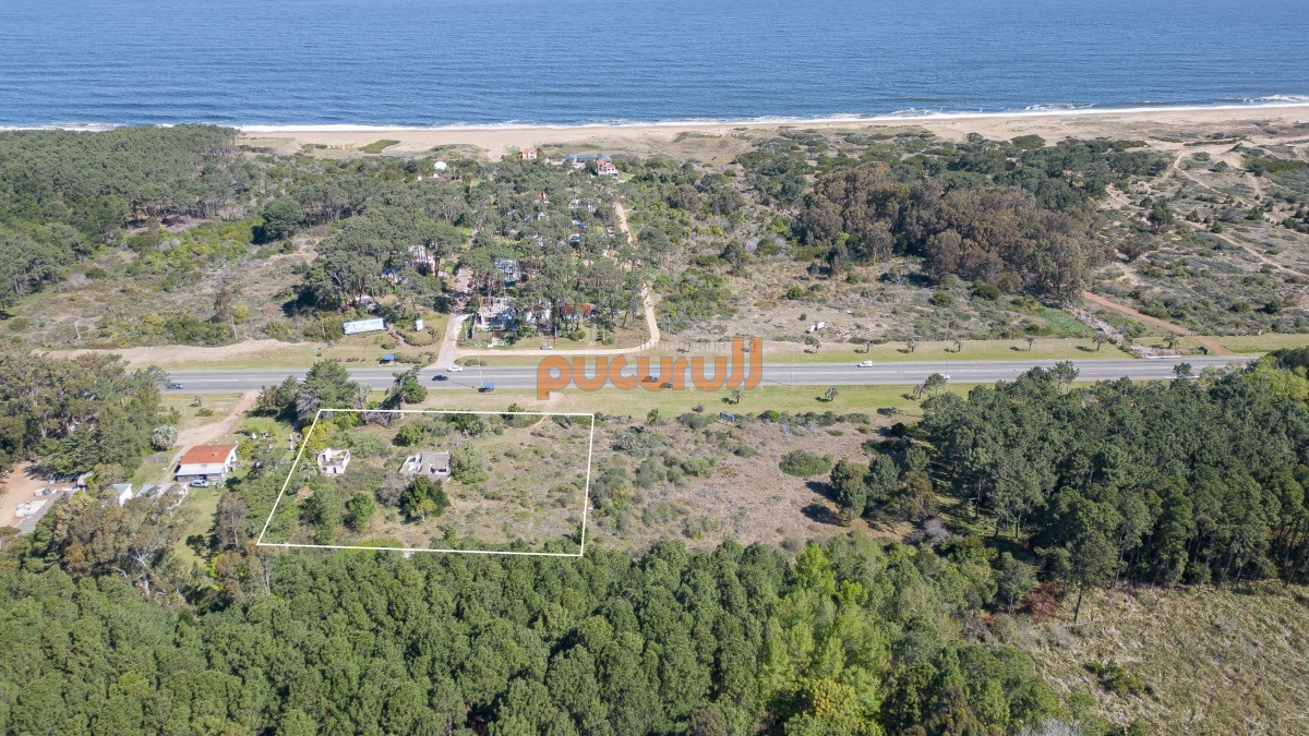 Terreno ID.3109 - Lote en venta para desarollo Punta Ballena para proyecto