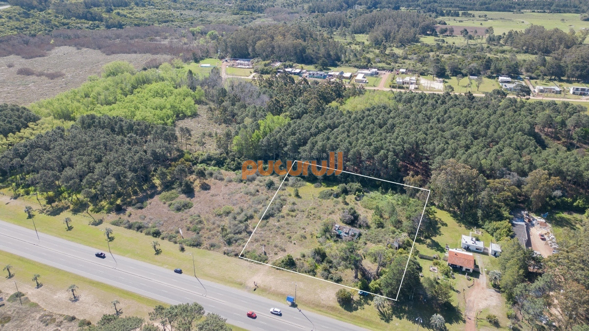 Terreno ID.3109 - Lote en venta para desarollo Punta Ballena para proyecto