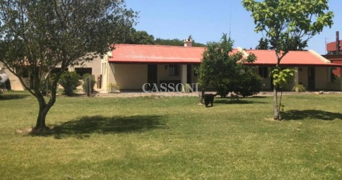 Chacra ID.1989 - Venta chacra 12 hectáreas en Maldonado Uruguay