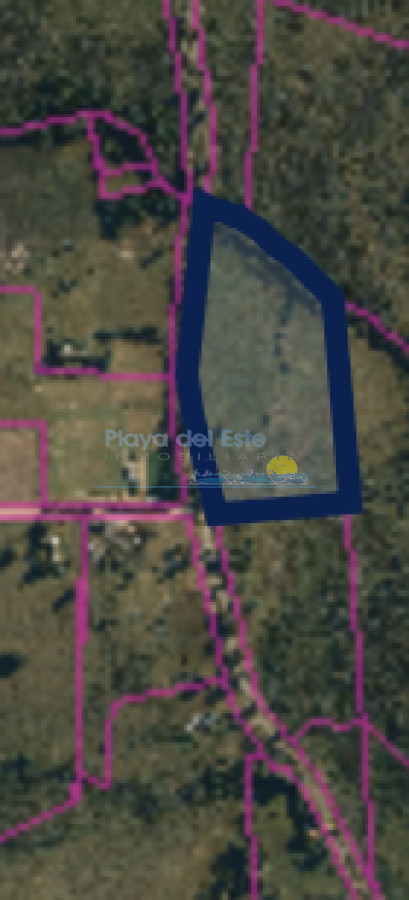 Camino de los Ceibos - GoPunta - Portal Inmobiliario de Punta del Este - Maldonado