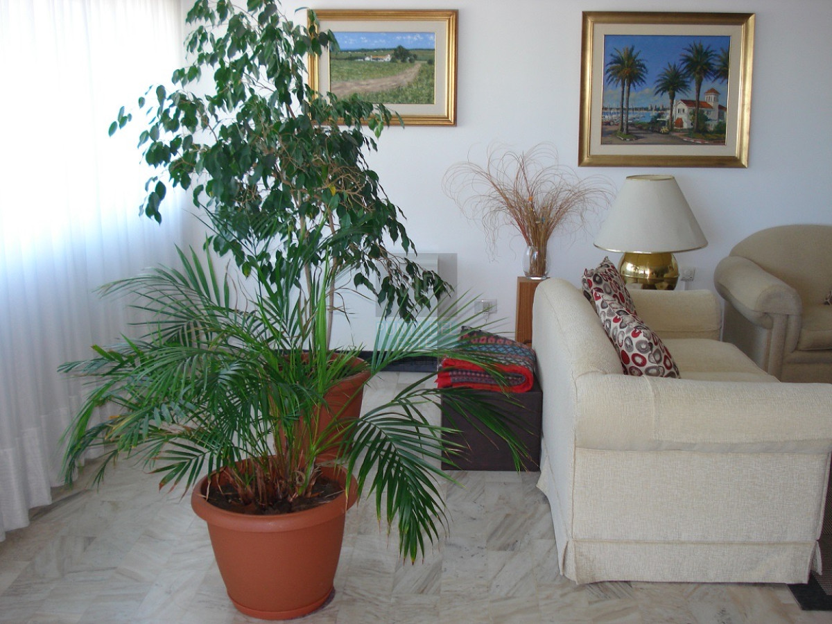Roosevelt - GoPunta - Portal Inmobiliario de Punta del Este - Maldonado