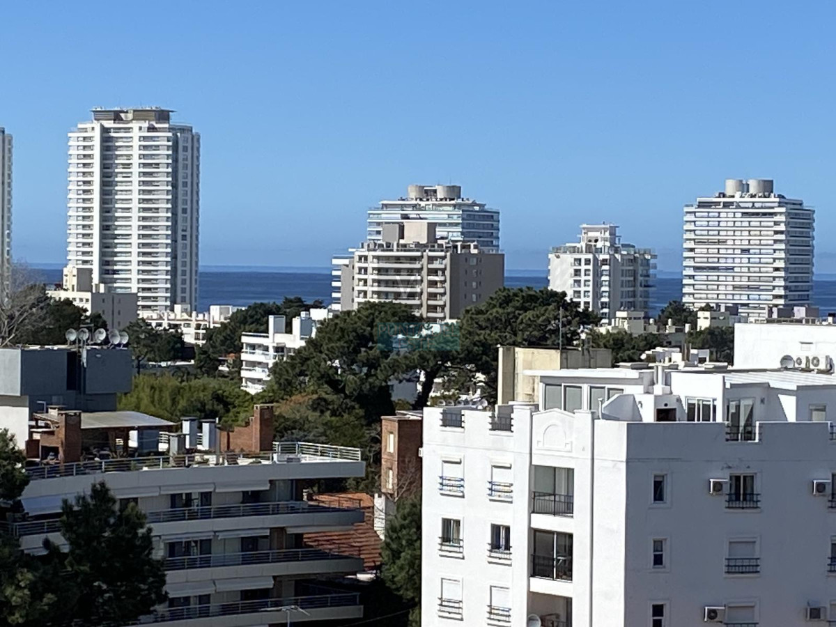 Aidy Grill - GoPunta - Portal Inmobiliario de Punta del Este - Maldonado