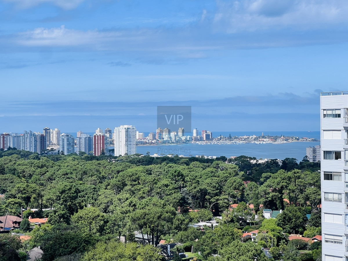 Apartamento ID.1002 - Penthouse en venta en Punta del Este con vista 