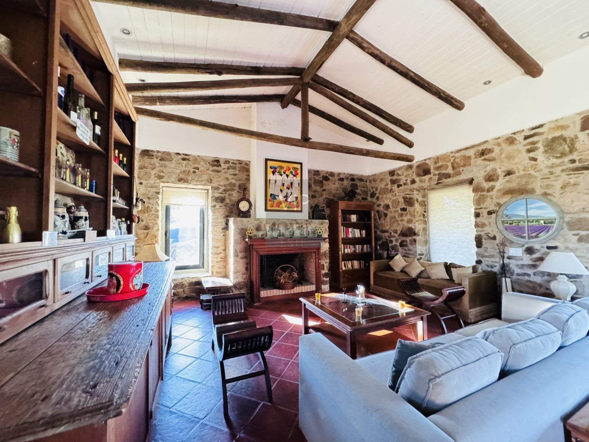 Chacra ID.2229 - Chacra en Venta 5 hectáreas Pueblo Edén con olivos 