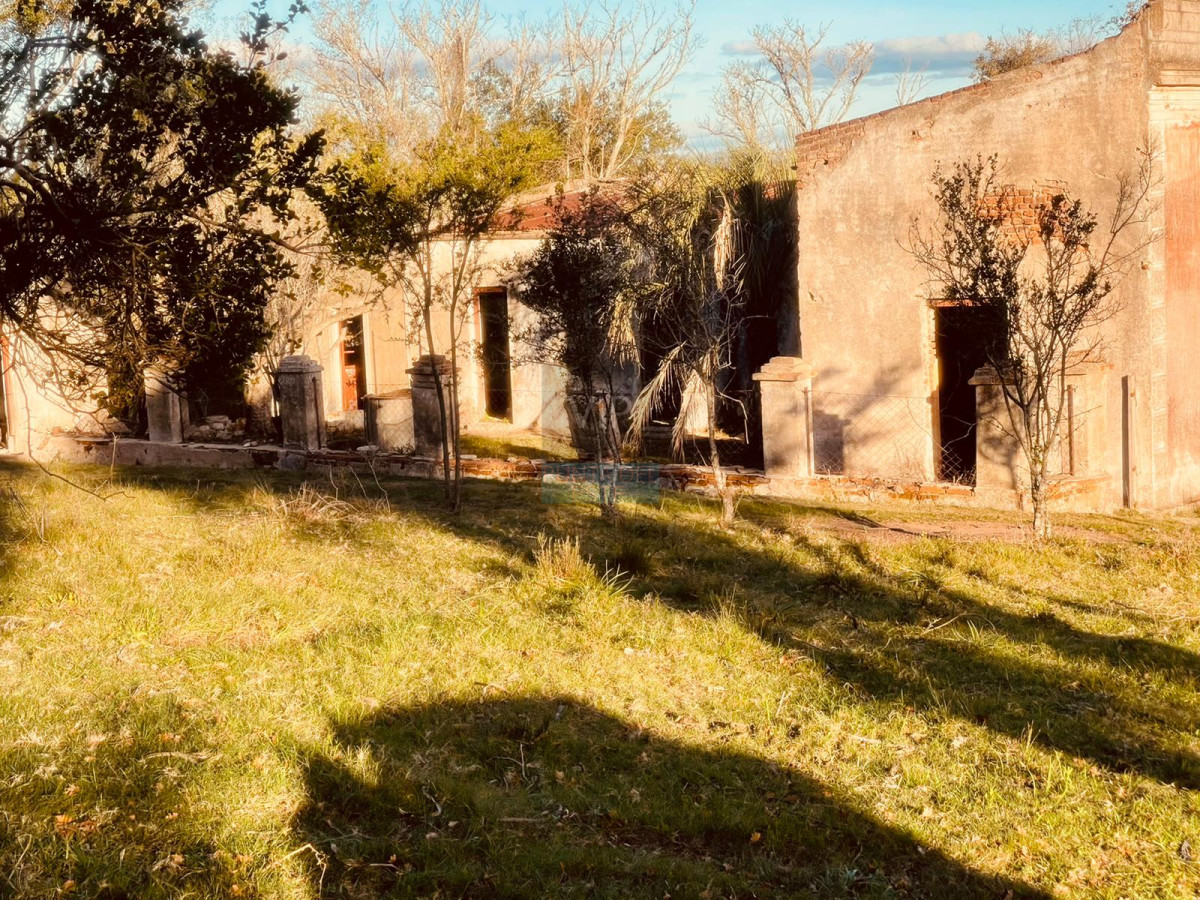 Aiguá - GoPunta - Portal Inmobiliario de Punta del Este - Maldonado