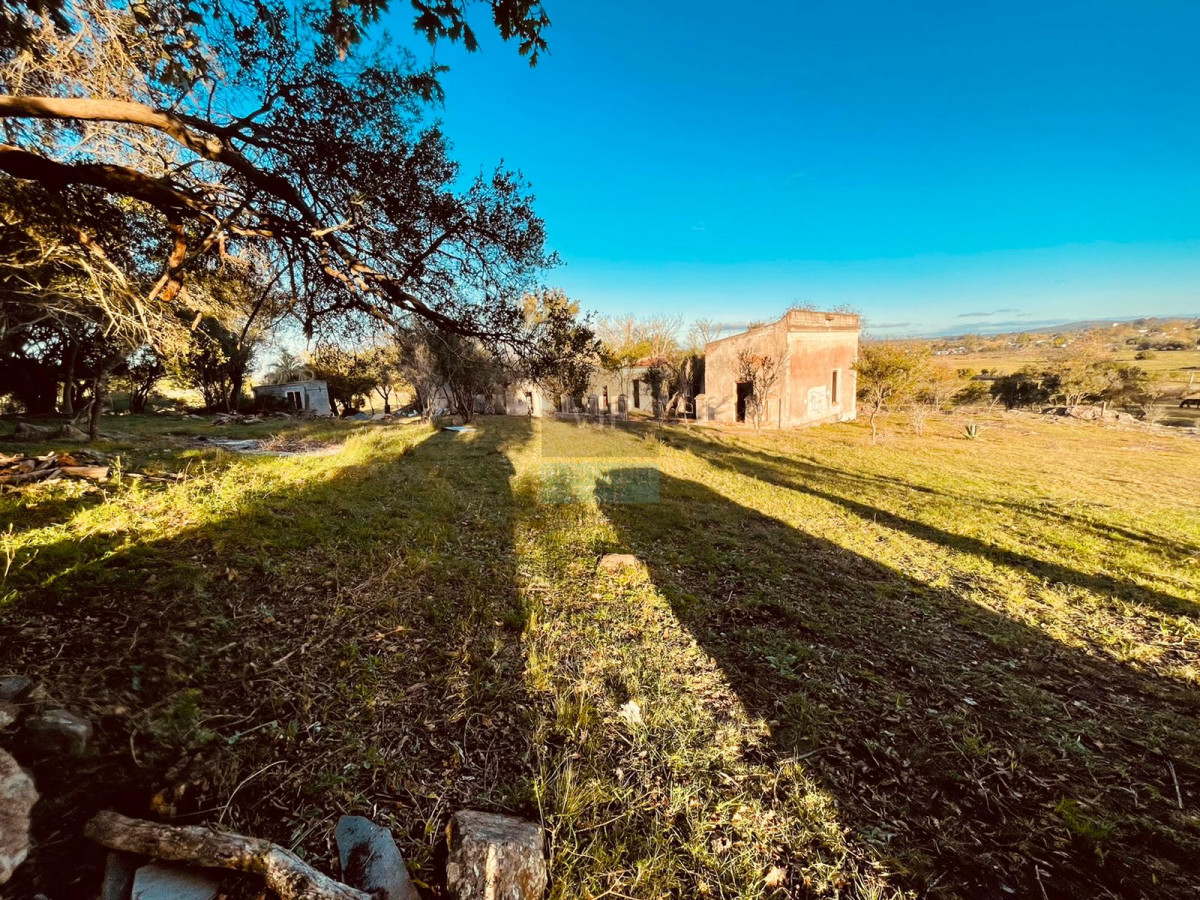 Venta campo 86 hectáreas Aiguá - Uruguay