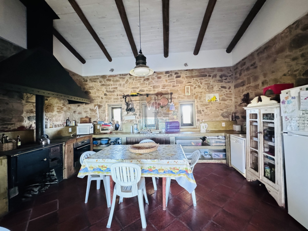 Chacra ID.2229 - Chacra en Venta 5 hectáreas Pueblo Edén con olivos 