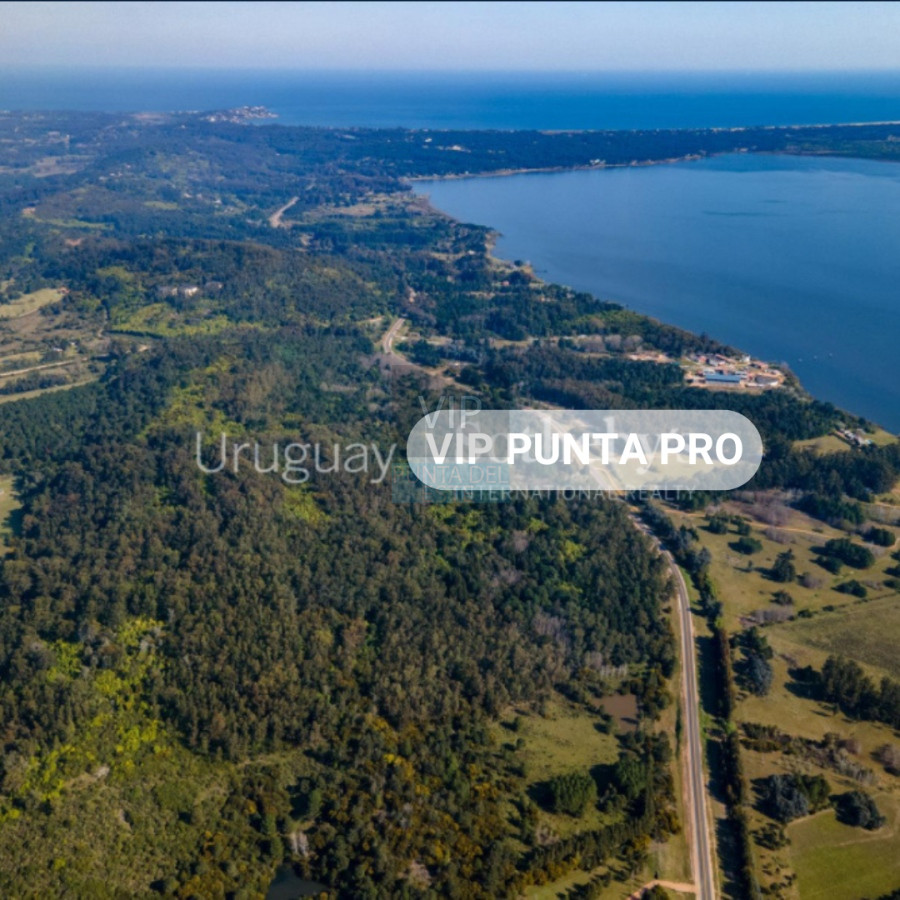 Chacra en venta Laguna del Sauce - Punta Ballena 