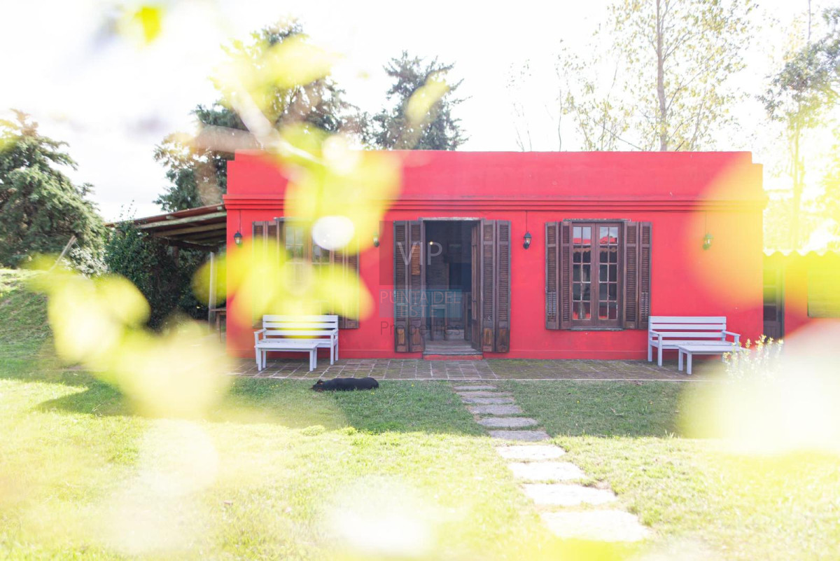 Chacra ID.1284 - Chacra en venta Punta del Este 