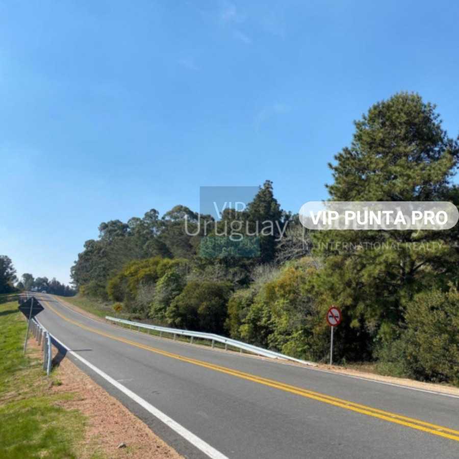 Chacra ID.2171 - Chacra en venta Laguna del Sauce - Punta Ballena 