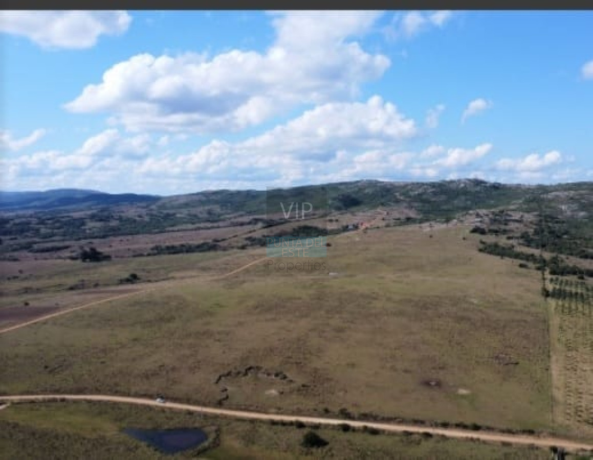 Chacra ID.1635 - Chacras de 5 hectáreas a minutos de Punta del Este