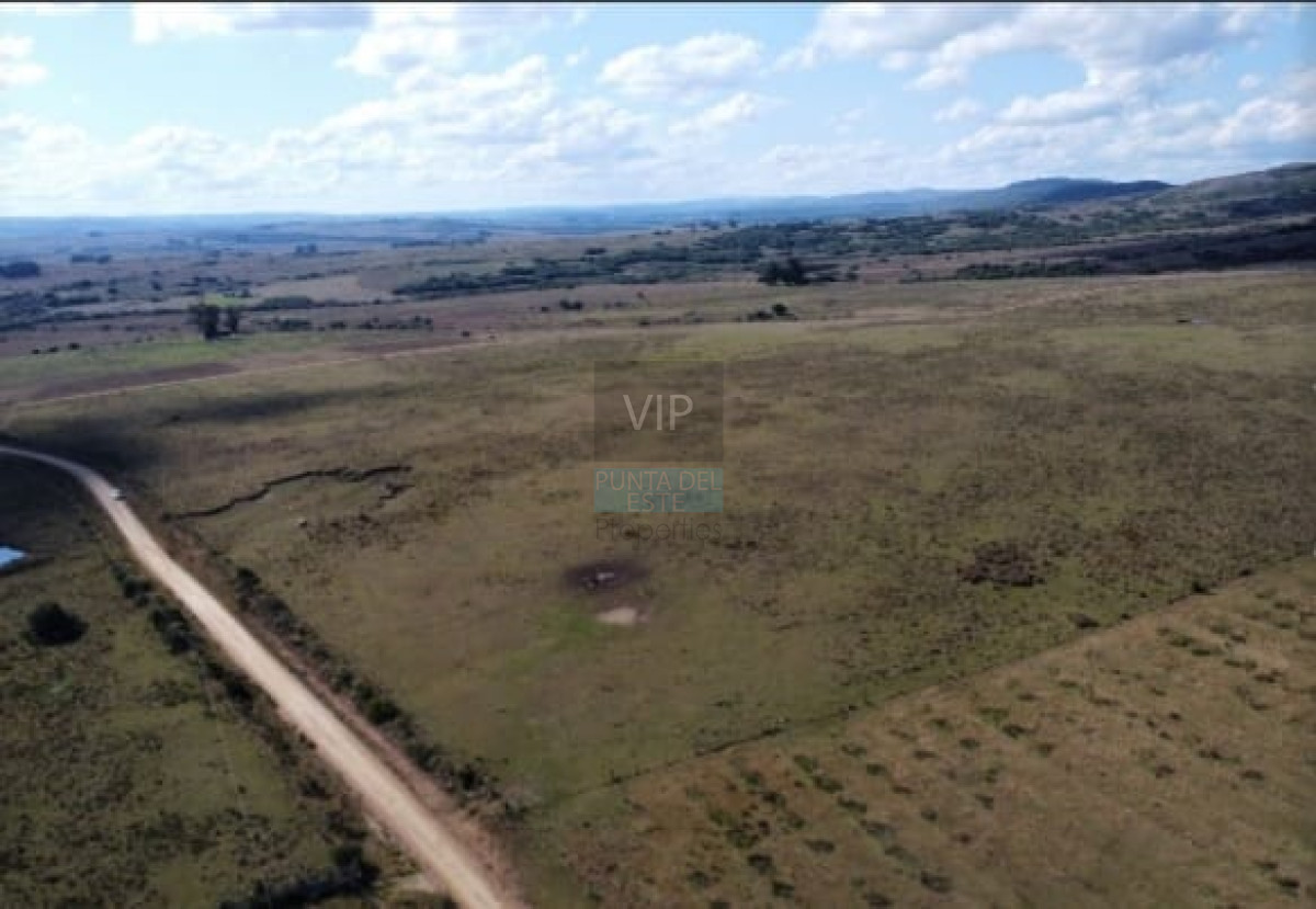 Chacra ID.1635 - Chacras de 5 hectáreas a minutos de Punta del Este