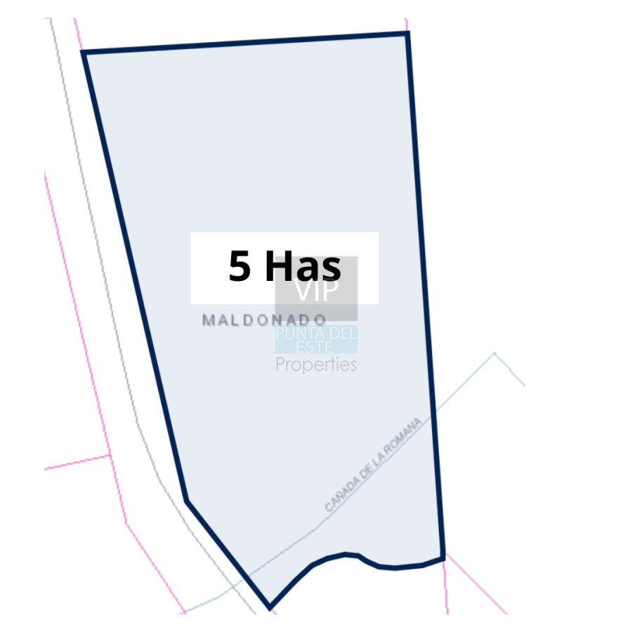 Camino de los Ceibos - GoPunta - Portal Inmobiliario de Punta del Este - Maldonado