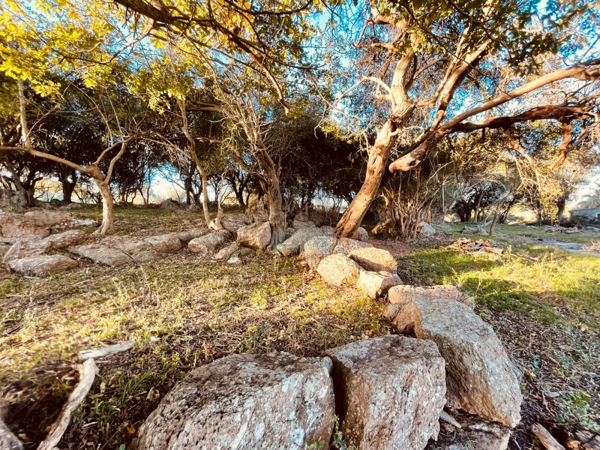 Chacra ID.522 - Venta campo 86 hectáreas Aiguá - Uruguay