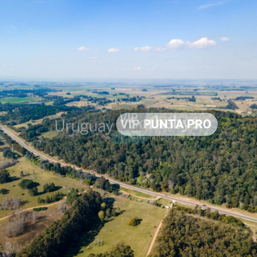 Chacra ID.2171 - Chacra en venta Laguna del Sauce - Punta Ballena 