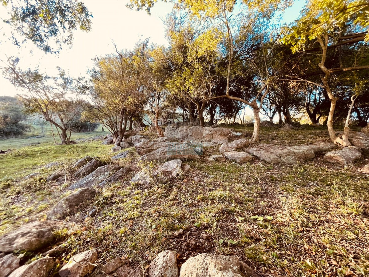 Chacra ID.522 - Venta campo 86 hectáreas Aiguá - Uruguay