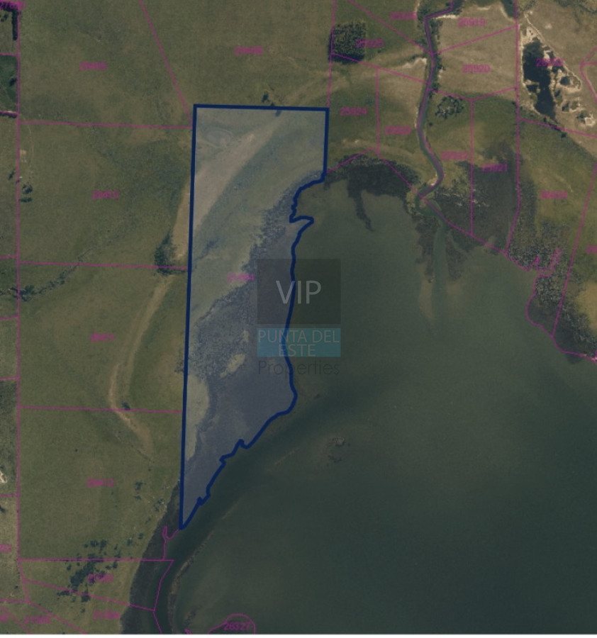 Chacra ID.1596 - Venta Chacra 30 hectáreas José Ignacio Uruguay