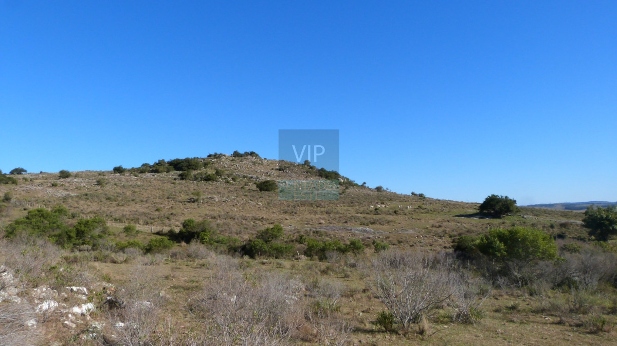 Chacra ID.1635 - Chacras de 5 hectáreas a minutos de Punta del Este