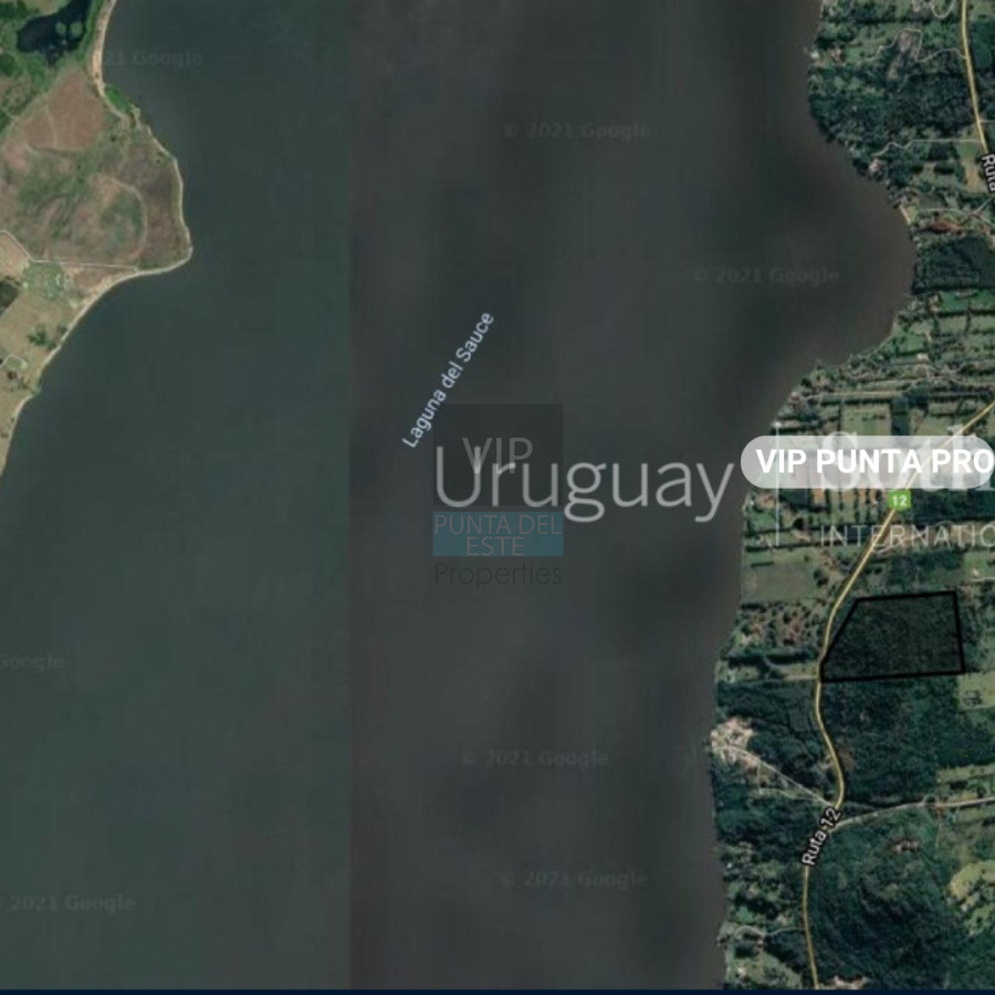 Chacra ID.2171 - Chacra en venta Laguna del Sauce - Punta Ballena 
