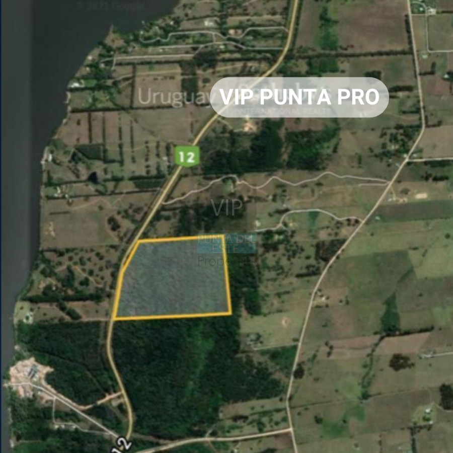 Chacra ID.2171 - Chacra en venta Laguna del Sauce - Punta Ballena 